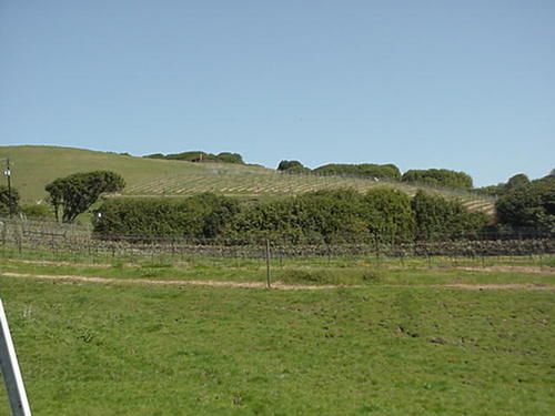 Point Reyes Vineyard Inn Каліфорнія-Сіті Екстер'єр фото
