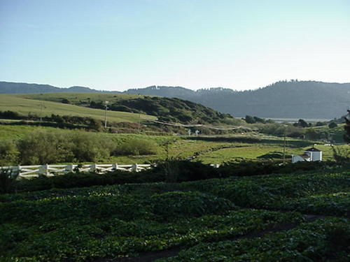 Point Reyes Vineyard Inn Каліфорнія-Сіті Екстер'єр фото