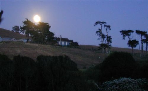 Point Reyes Vineyard Inn Каліфорнія-Сіті Екстер'єр фото