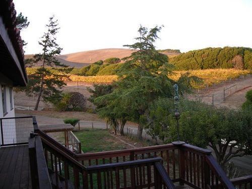 Point Reyes Vineyard Inn Каліфорнія-Сіті Екстер'єр фото