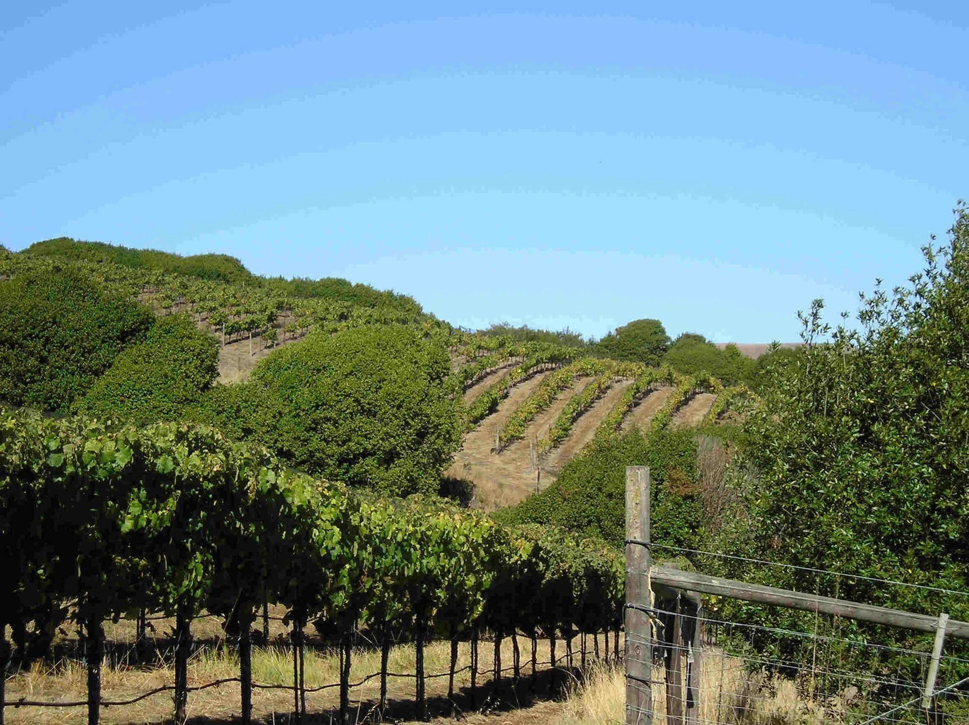 Point Reyes Vineyard Inn Каліфорнія-Сіті Екстер'єр фото